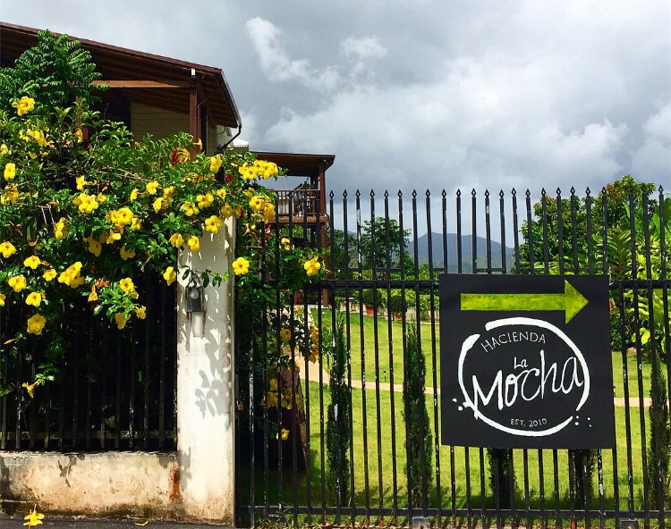 Entrada, barrio La Mocha